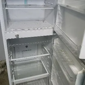 HİTACİ HOLADİNİK