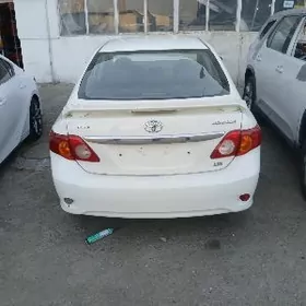 Toyota Corolla 2010