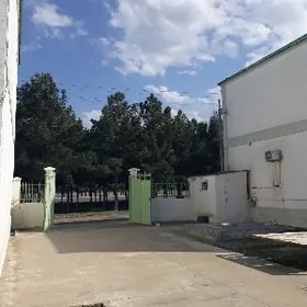 Gökdepe kattež jaý satlyk