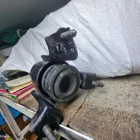 padushka 3lik duty kamry