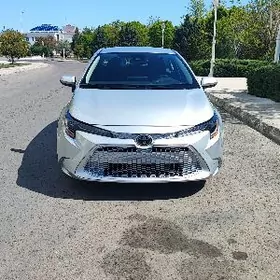 Toyota Corolla 2021