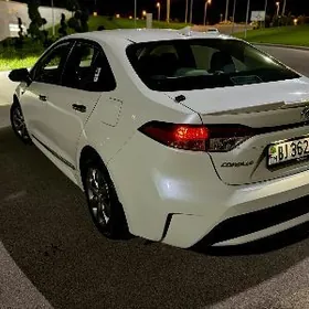 Toyota Corolla 2020