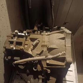 Саrolla 2010 koropka