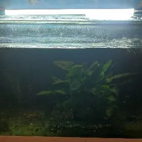 аквариум 120л