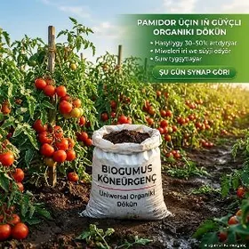 BIOGUMUS / БИОГУМУС