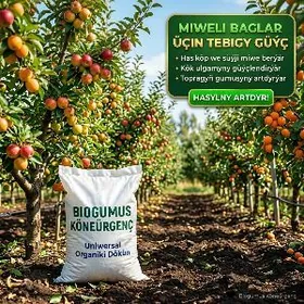 BIOGUMUS / БИОГУМУС