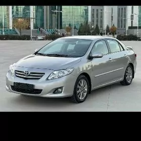 Moýka işgär gerek