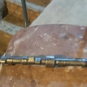 rasbyrdywal masgawic