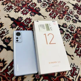 xiaomi 12 x