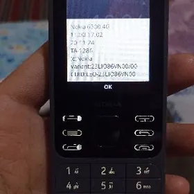 Nokia 6300 4G