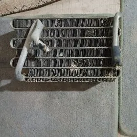 carona kanisaner radyator