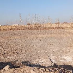 mellek yermellek yer