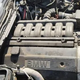 motor pilite 1 wanus