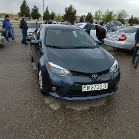 Toyota Corolla 2014