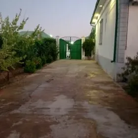 Arenda Plan Taze zaman