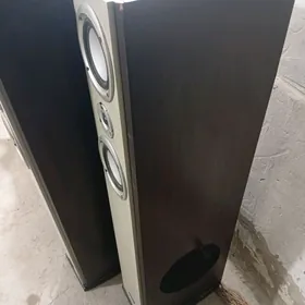 колонка. Акира