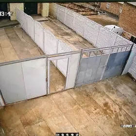 Arenda Howly kateş eyesinden