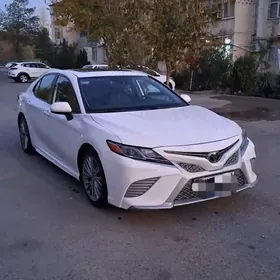 Toyota Camry 2019