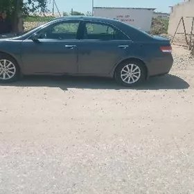 Toyota Camry 2010