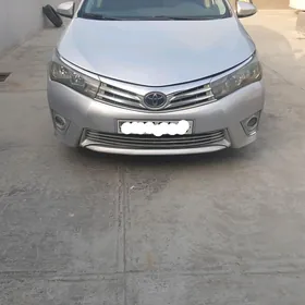 Carolla haliji bamper fara 14