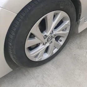 Teker pakrishka 215 55 17 Mich