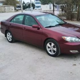 diska 16 lyk obmen Dutynki bn