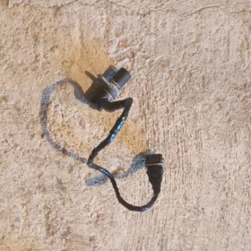 raspiret dacyk kareyka