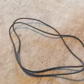 salnik beskamyr pagurusyk