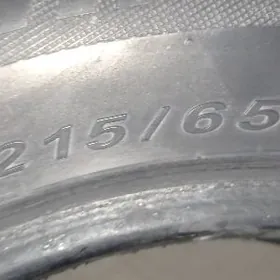 pakrişkalar ayaklar raboji bit