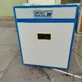 inkubator инкубатор