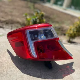 PALTA CAMRY STOP FARA MORDA