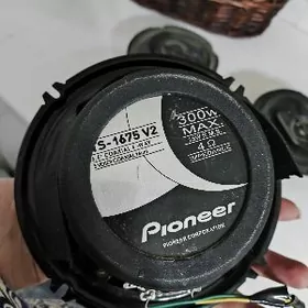 Пионер колонки никель