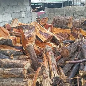 Kafe Toy Sadaka ucin Odunlar