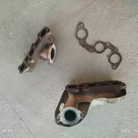 babycga kollektor setga bitewi