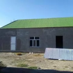 Taze Gami 8-sotak