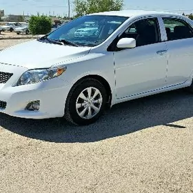 Toyota Corolla 2010