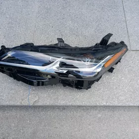 Fara cyra ful Awalon 19 Let