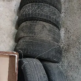 Tekerler.durli gornusli.