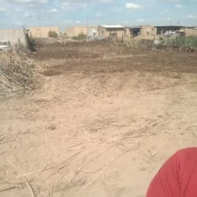 Köne aeroport daça 5 sotka