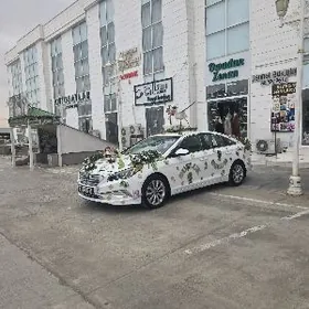 Bezeg üçin aýs güş