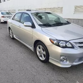 16 arginal disga pakrisga