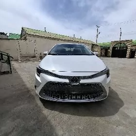 Toyota Corolla 2020