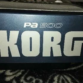 Blok korg pa500