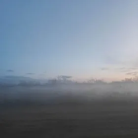 USSA Jay organ capma dasdan