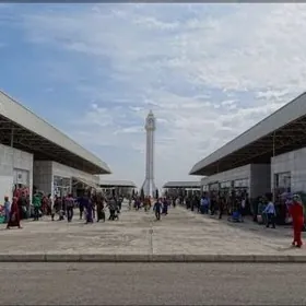 Altyn Asyr gundogar bazar