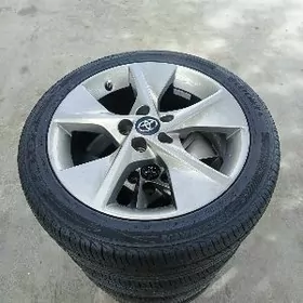 Palta kemry disge pakrysga 18