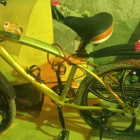 велсопет welsopet