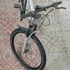 Skorostnoý 26-lyk tigir