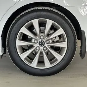 Aziada Camry Bryzgawyk 15-17ý