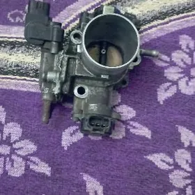 дроселноя́ зослонка